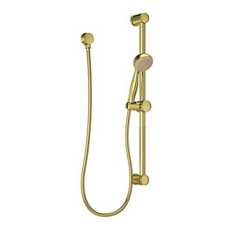 Pfister Hand Shower, Brushed Gold, Wall LG16-300BG